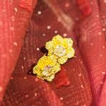 Gold plated flower stud earrings for women